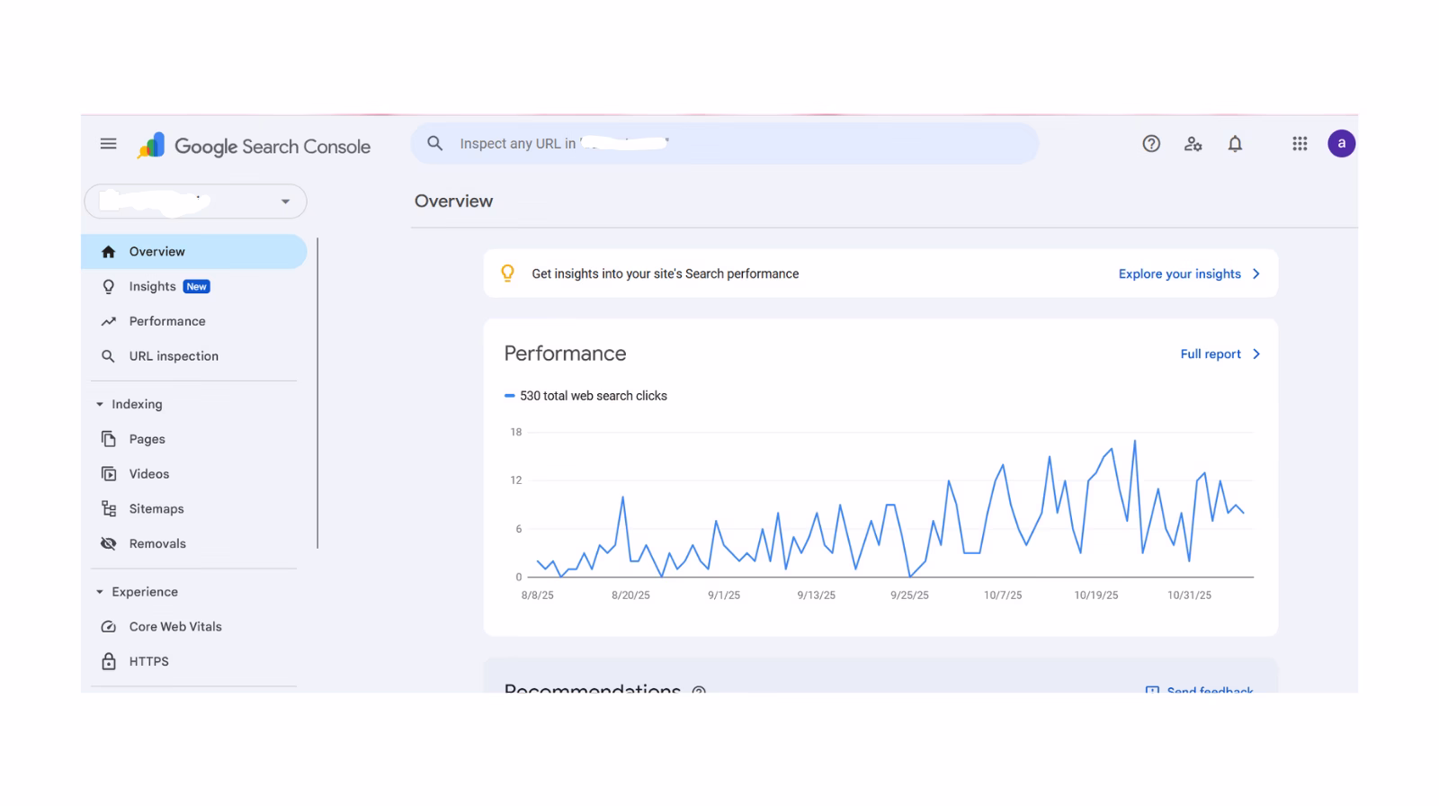 قسمت overview گوگل سرچ کنسول